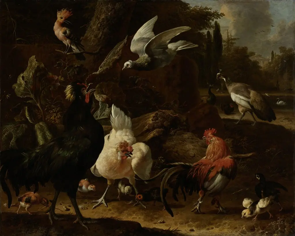 Birds in a park, by Melchior d' Hondecoeter