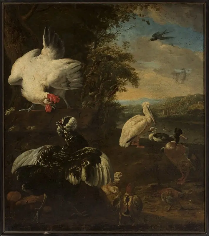 Domestic fowls, by Melchior d' Hondecoeter