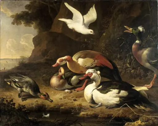 Ducks, by Melchior d' Hondecoeter