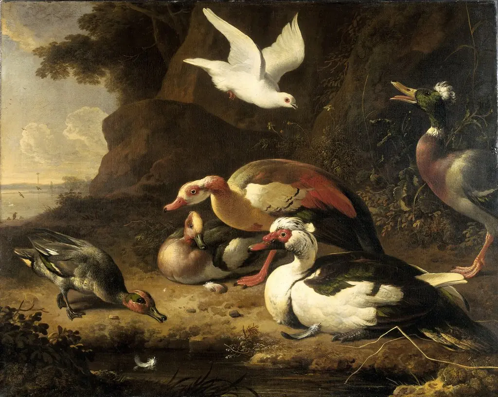 Ducks, by Melchior d' Hondecoeter