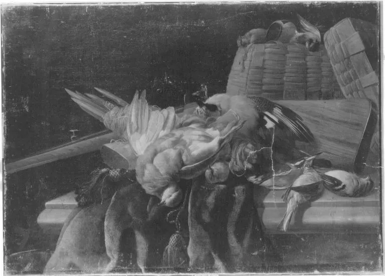 Erlegtes Federwild, by Melchior d' Hondecoeter, unspecified, 1665