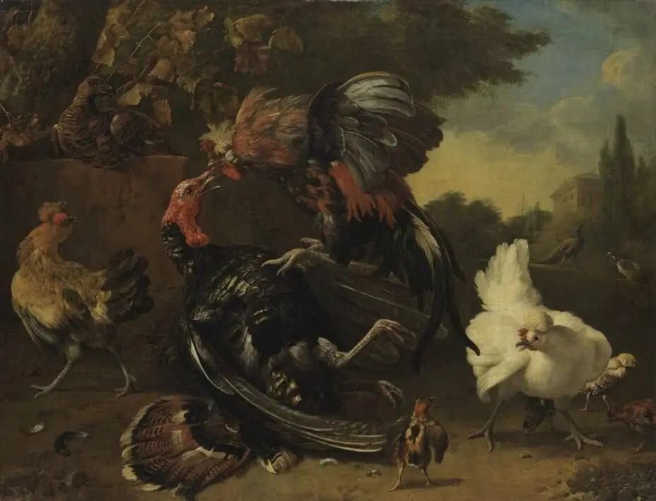 Fight between a cock and a turkey, by Melchior d' Hondecoeter