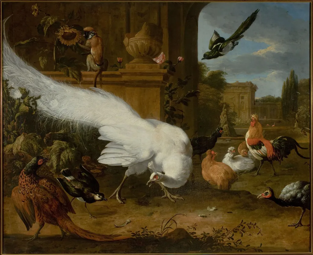 Fowls and a white peacock, by Melchior d' Hondecoeter, oil, 1675