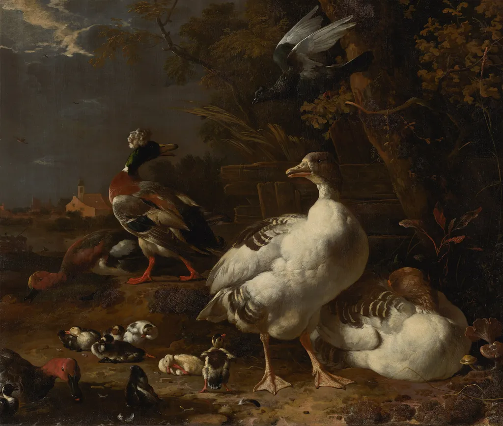 Geese and Ducks, by Melchior d' Hondecoeter, oil, 1690