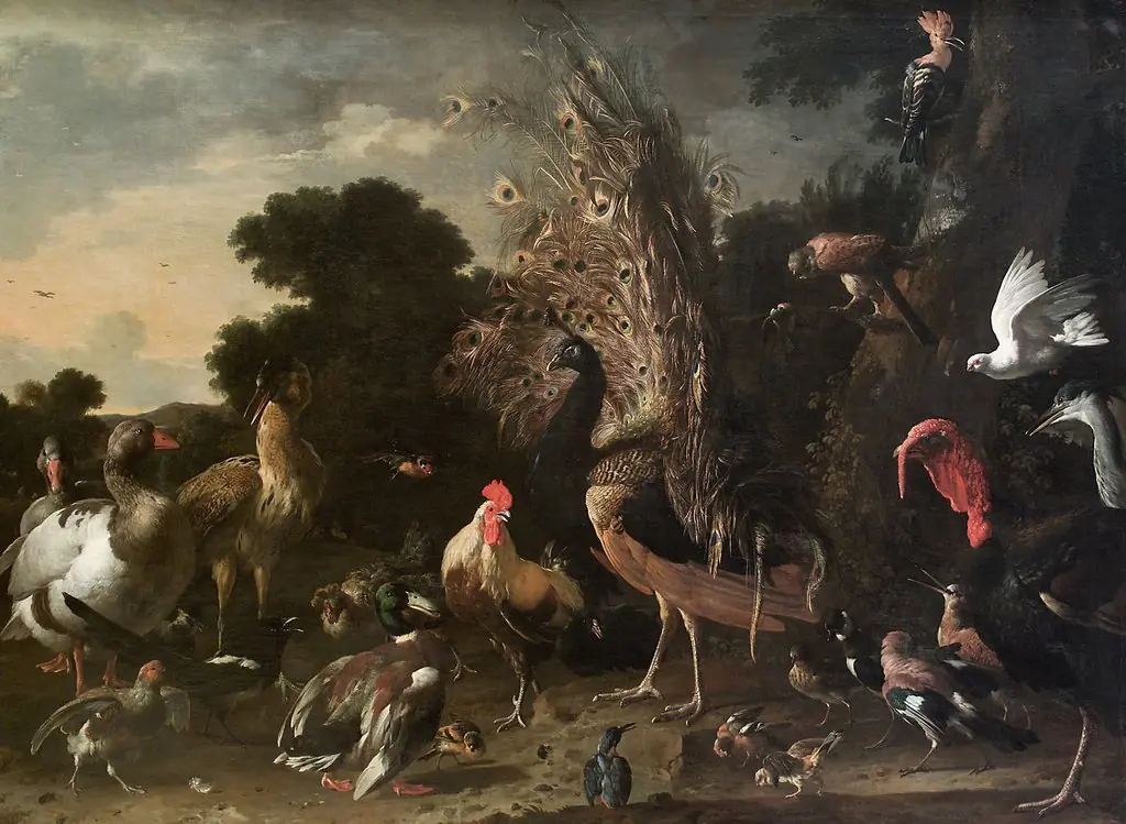 Geflügelhof, by Melchior d' Hondecoeter
