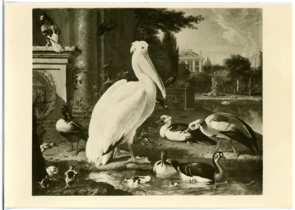 Pelican and other waterfowl in a Park, by Melchior d' Hondecoeter, paint, 1690