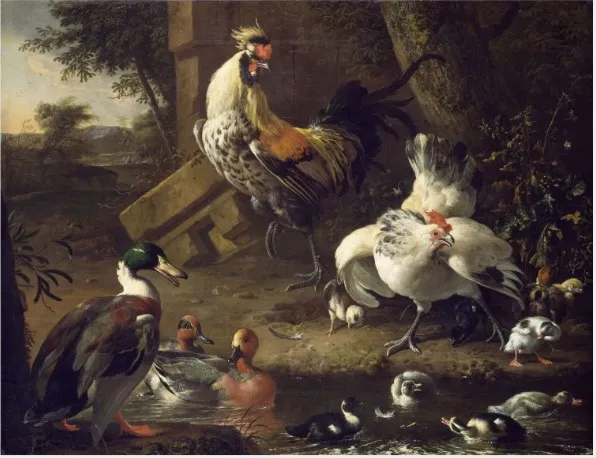 Poultry, by Melchior d' Hondecoeter, oil, 1675