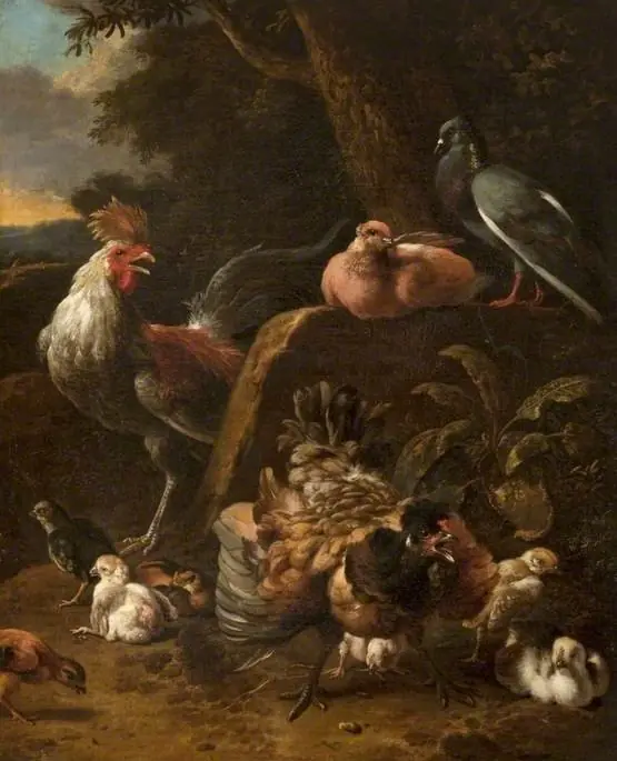 Poultry and Pigeons, by Melchior d' Hondecoeter