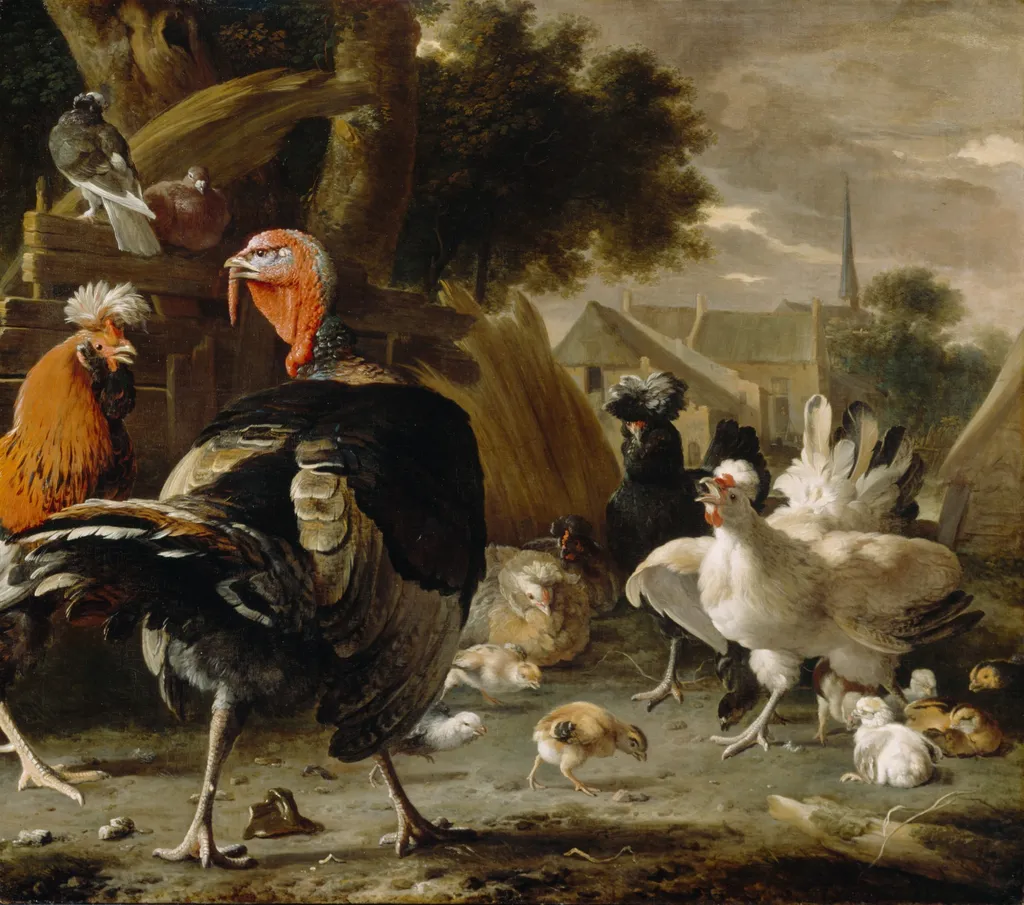 Poultry Yard, by Melchior d' Hondecoeter, oil, 1668