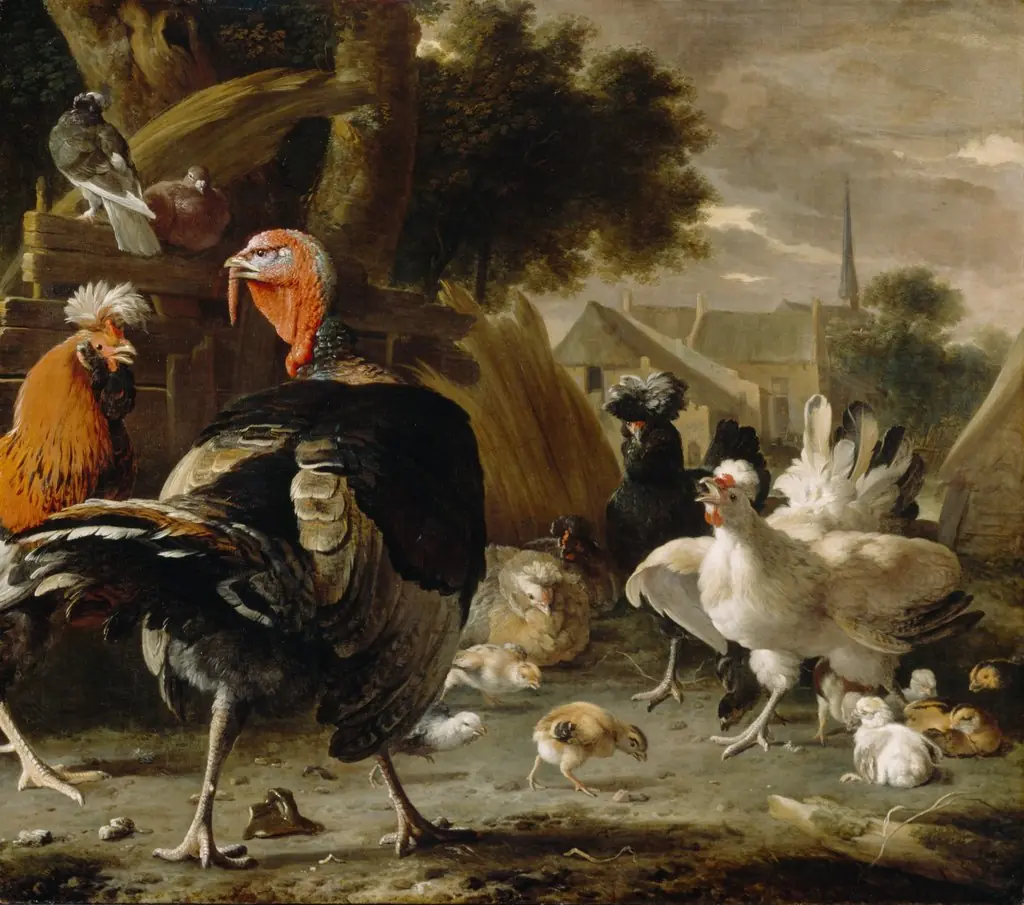 Poultry Yard, by Melchior d' Hondecoeter