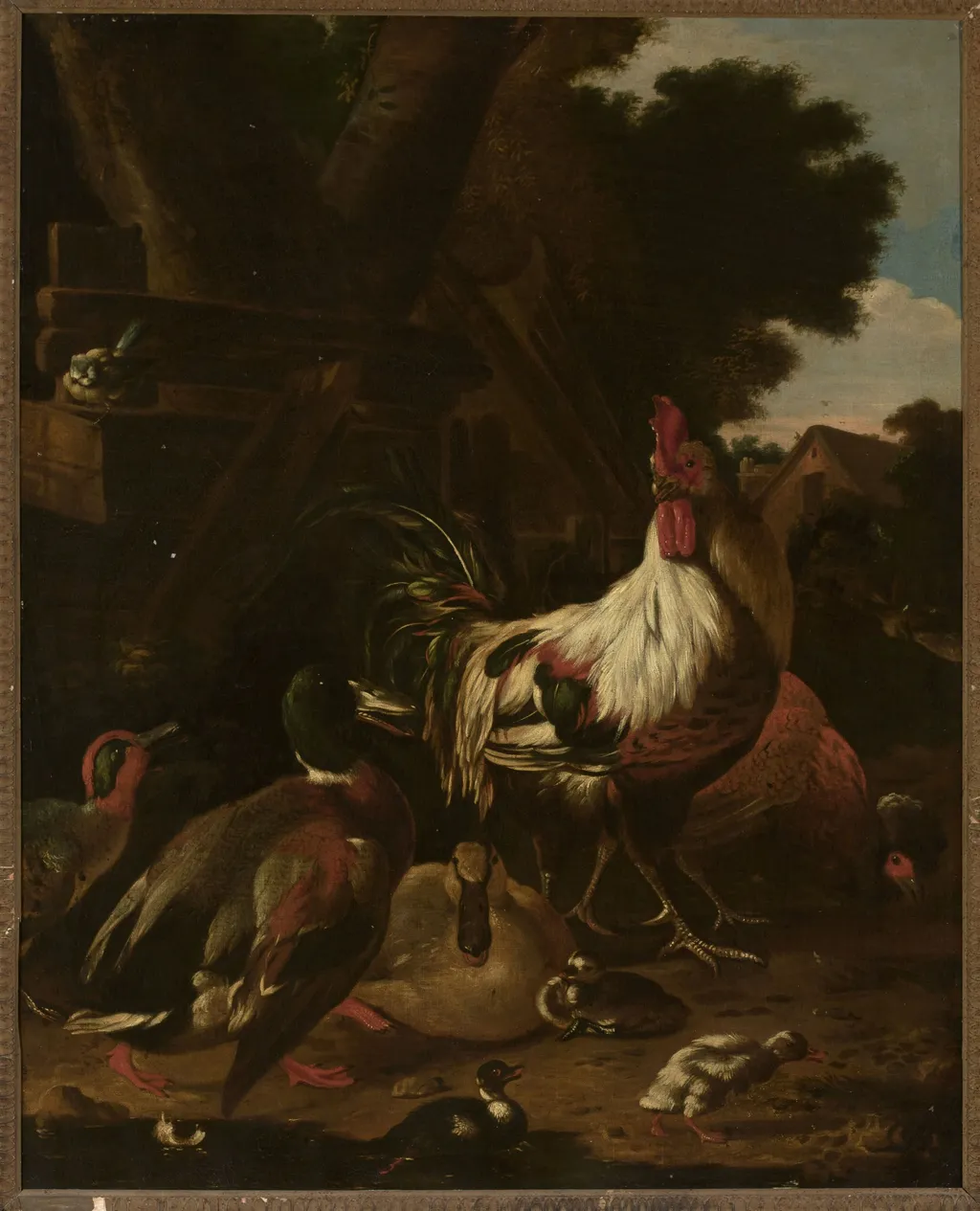 Rooster and ducks, by Melchior d' Hondecoeter, oil, 1675