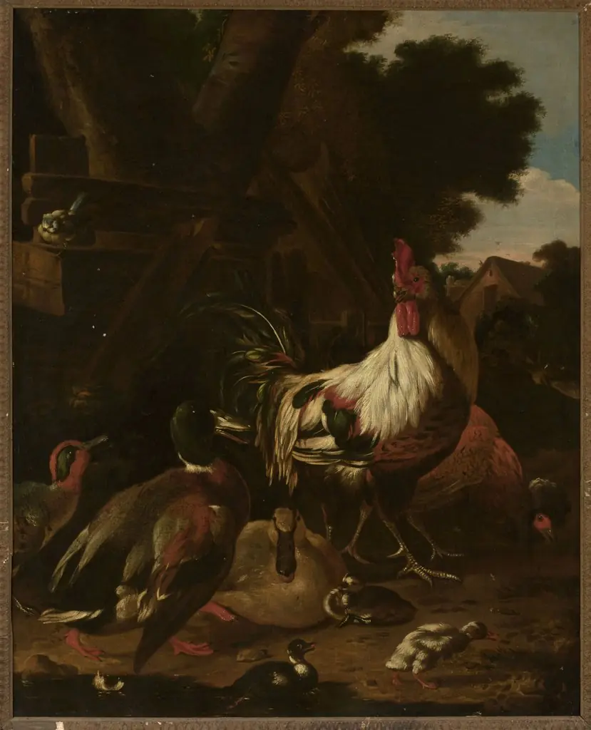 Rooster and ducks, by Melchior d' Hondecoeter