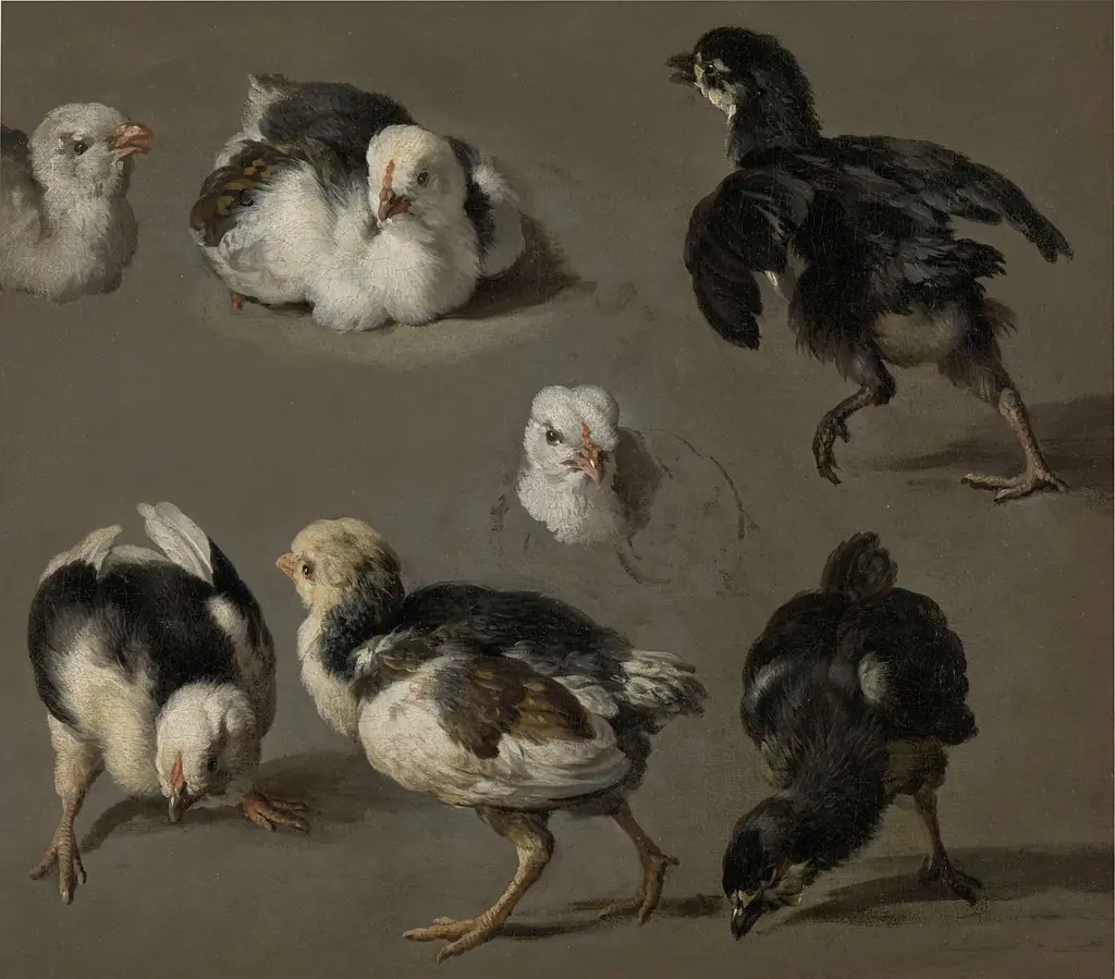 Seven Chicks, by Melchior d' Hondecoeter