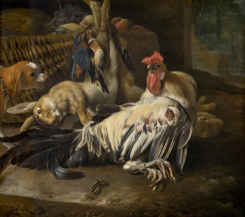 Still Life with Cock, by Melchior d' Hondecoeter