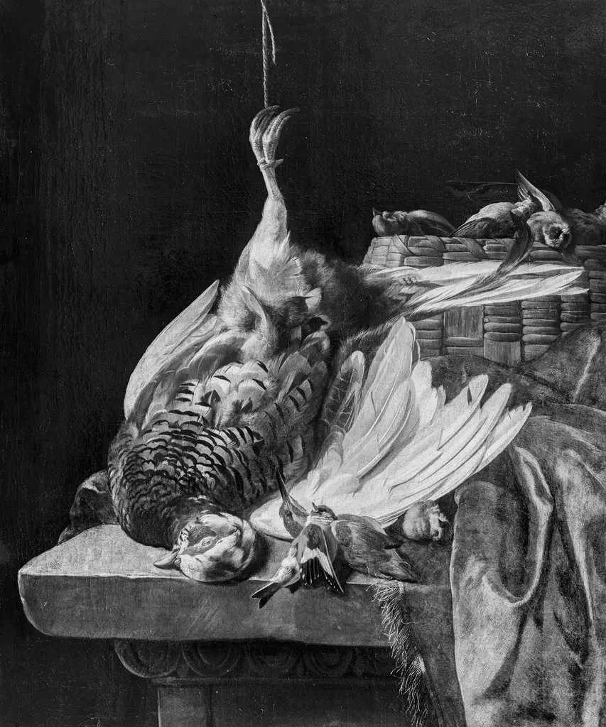 Still life with turkey, by Melchior d' Hondecoeter