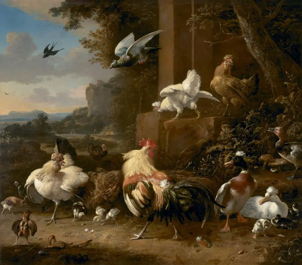 The poultry yard, by Melchior d' Hondecoeter