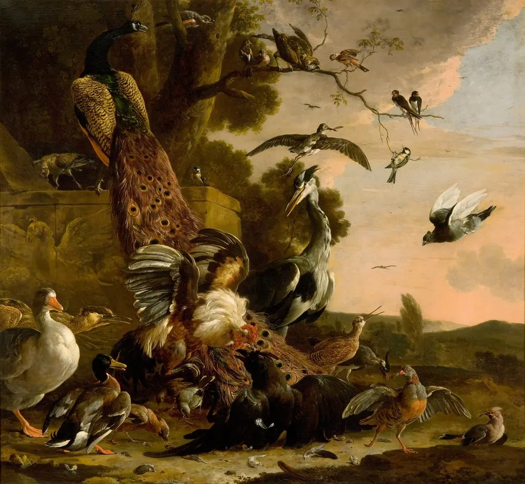 The Raven Robbed of the Feathers He Wore to Adorn Himself, by Melchior d' Hondecoeter