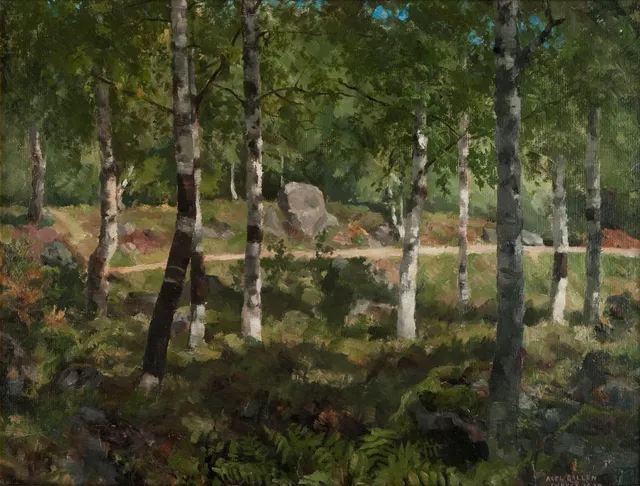Metsää Tyrväällä