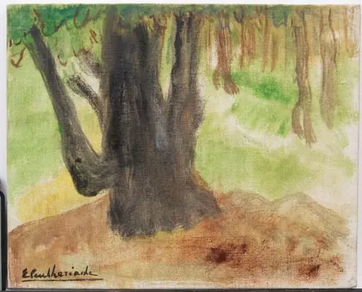 Magnolia uriașă, by Micaela Eleutheriade