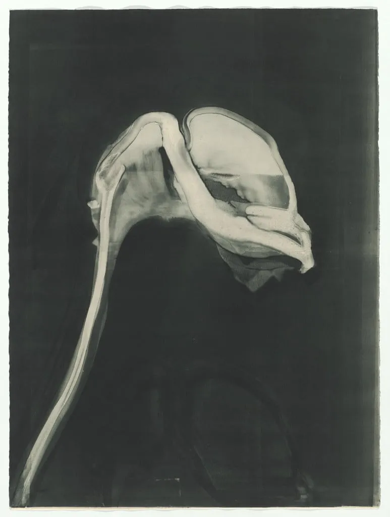 Untitled, by Michael Mazur, 1986
