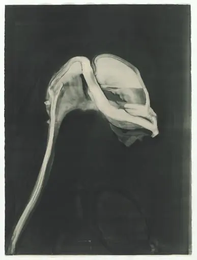 Untitled, by Michael Mazur