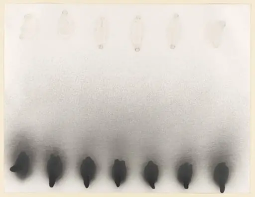 Untitled, by Michael Venezia
