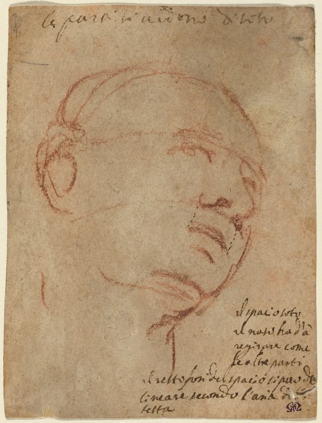 Head of a Man, by Michelangelo, ink, 1530