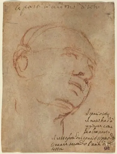 Head of a Man, by Michelangelo