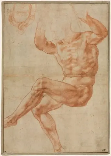 Study for the Nude Youth over the Prophet Daniel (recto), by Michelangelo