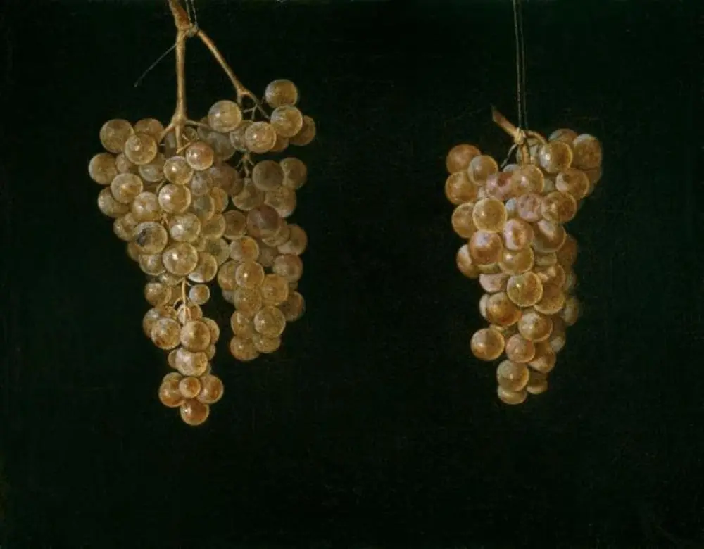 Two Bunches of Grapes with a Fly