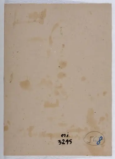 Natură statică cu flori, by Mihăilescu-Craiu Victor