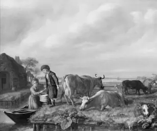Milking Scene