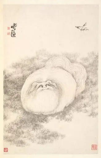 Cat and Butterfly, by Min Zhen