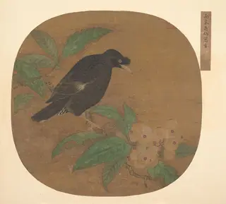 南宋？佚名    舊傳吳炳   枇杷八哥圖   團扇頁|Minah Bird on a Loquat Branch