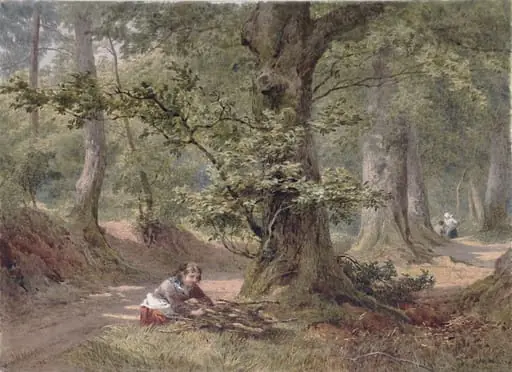 Hellersdon Wood, Devonshire, by Mole