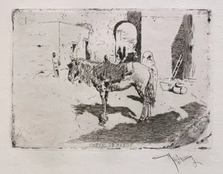 Moroccan Horse