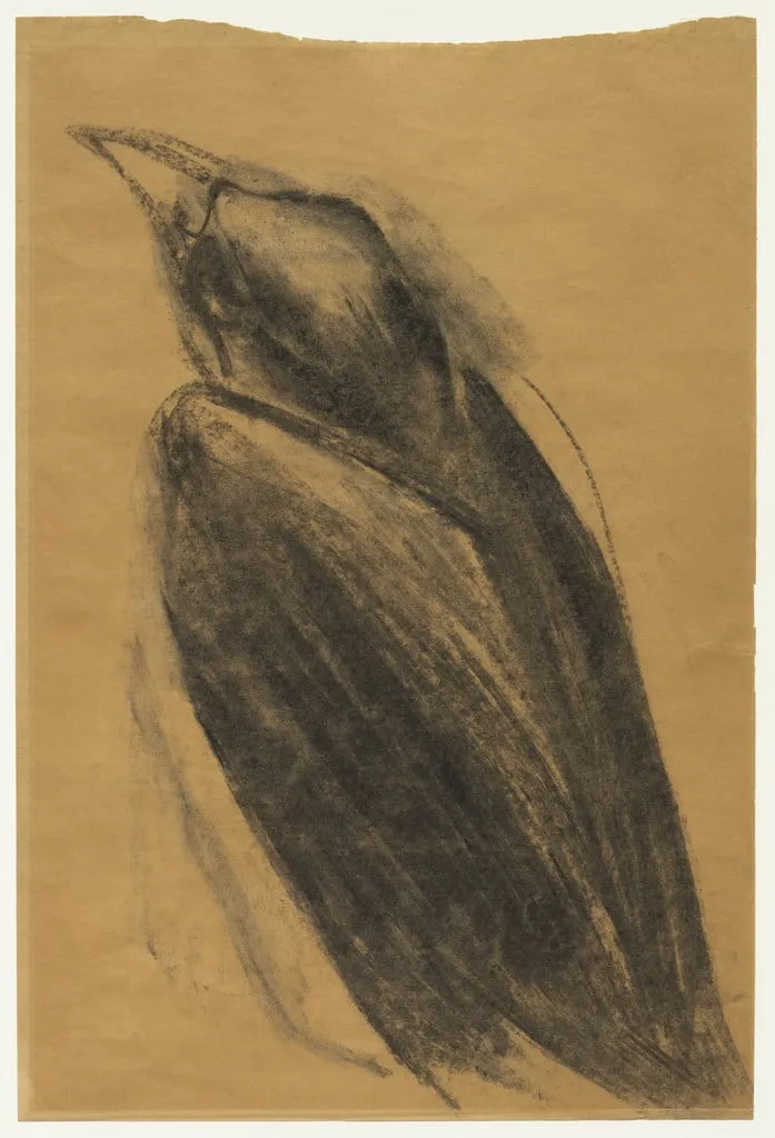 Untitled, by Morris Graves, charcoal, 1942