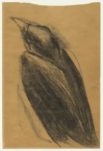 Untitled, by Morris Graves