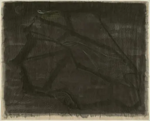 Untitled, by Morris Graves