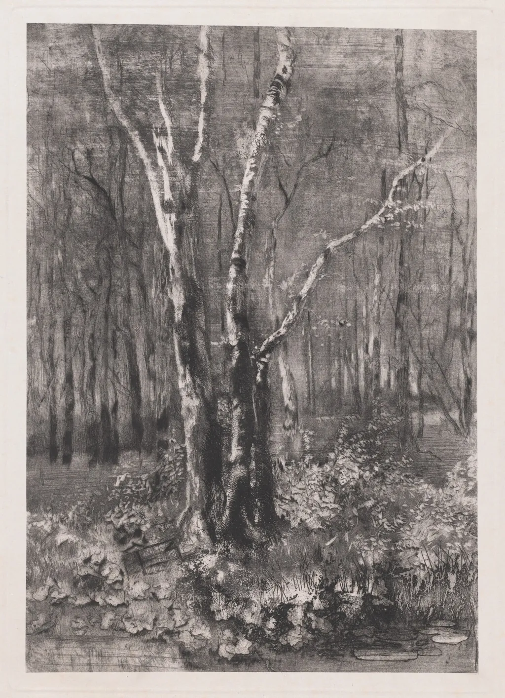 Woods in the Park near Monza, by Mosè Bianchi, ink, 1895