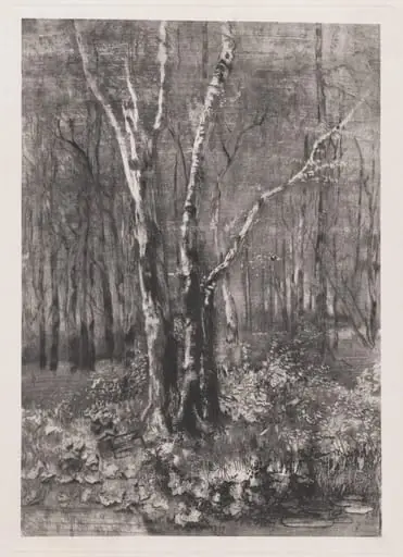 Woods in the Park near Monza, by Mosè Bianchi