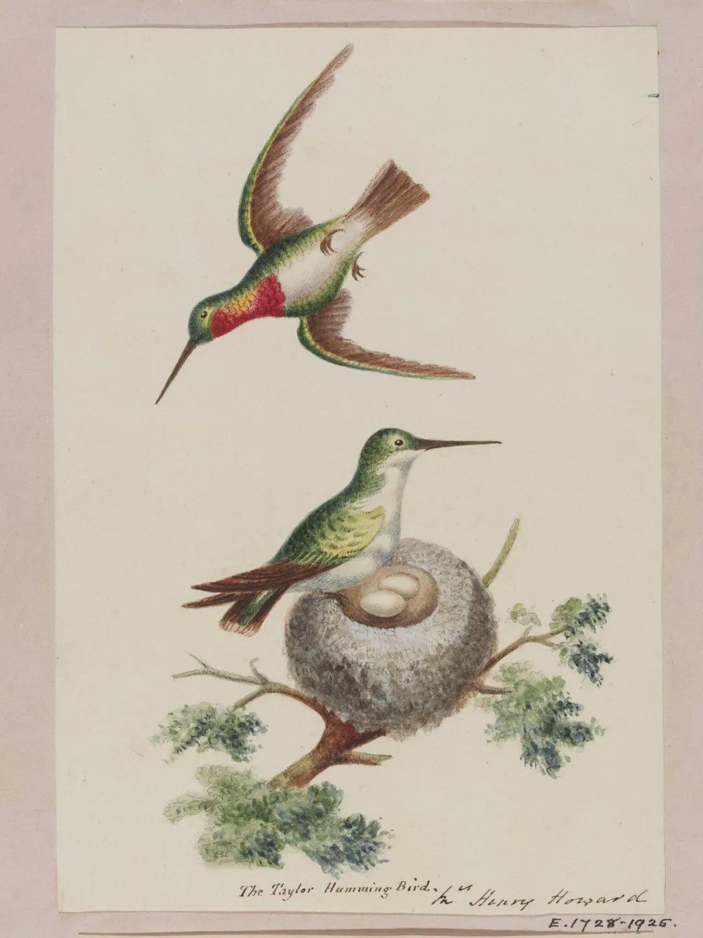 Sutherland Album, by Mrs Henry Howard, watercolor, 1812