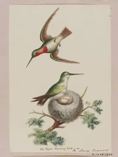 Sutherland Album, by Mrs Henry Howard