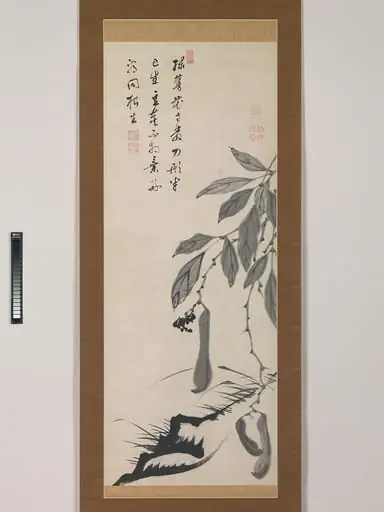 伊藤若冲筆 無染浄善 (丹崖) 賛 豌豆豆図|Bean Vine, by Musen Jōzen, 1750
