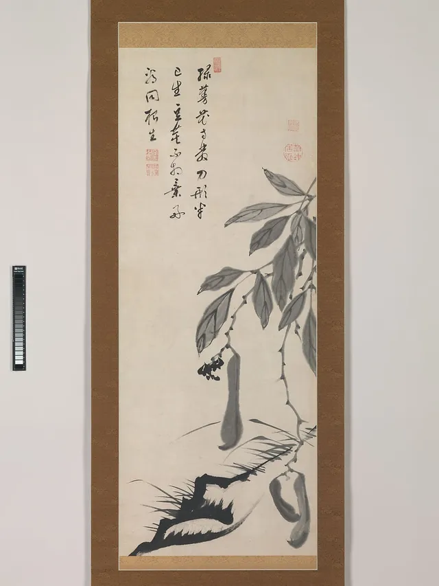 伊藤若冲筆 無染浄善 (丹崖) 賛 豌豆豆図|Bean Vine