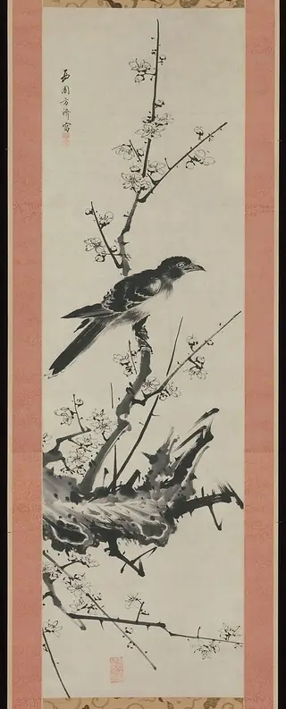 西園方済筆　梅に叭叭鳥図|Mynah Bird on Plum Branch