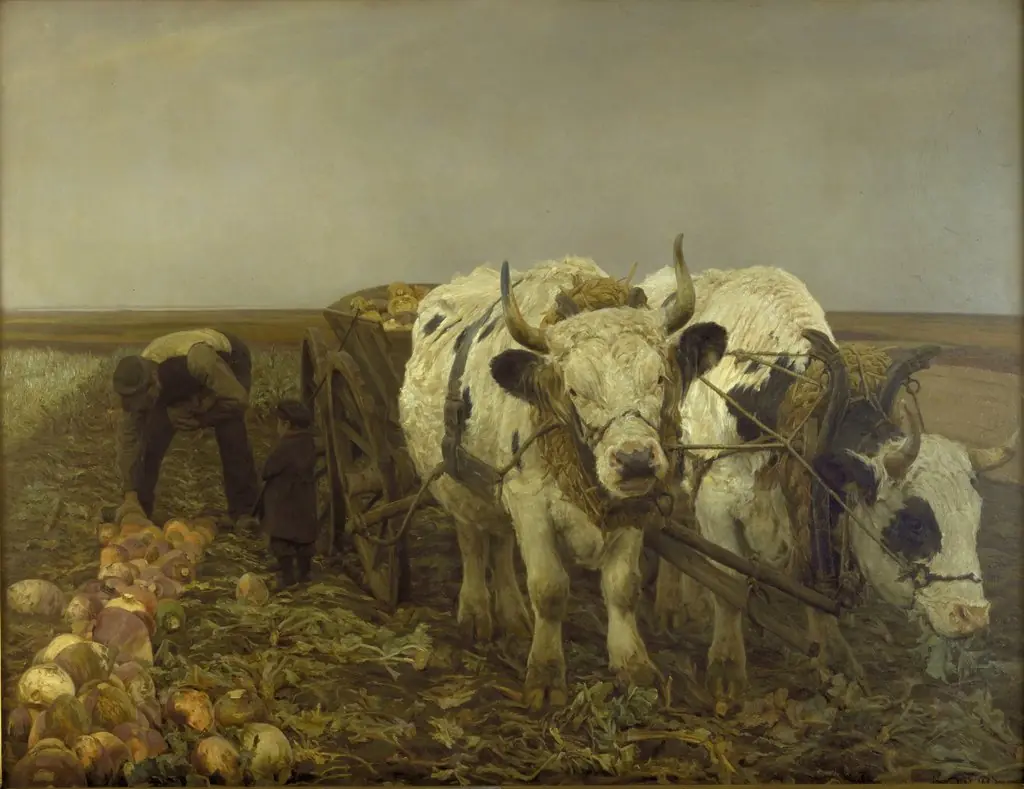 Roeoptagning, by N.P. Mols
