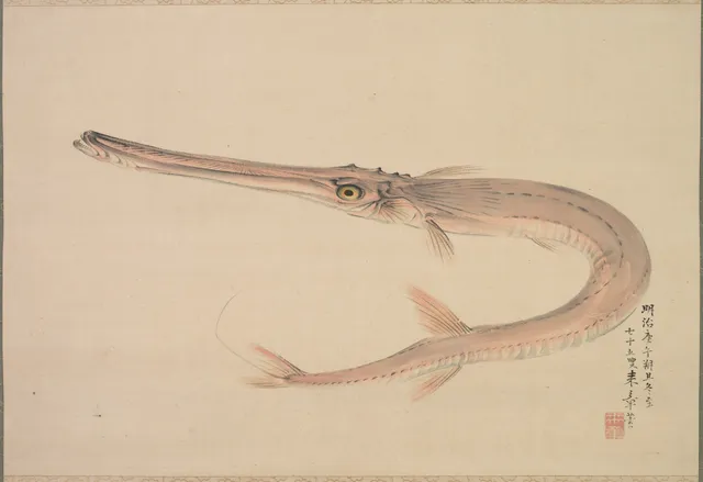 Needlefish (Yagara)