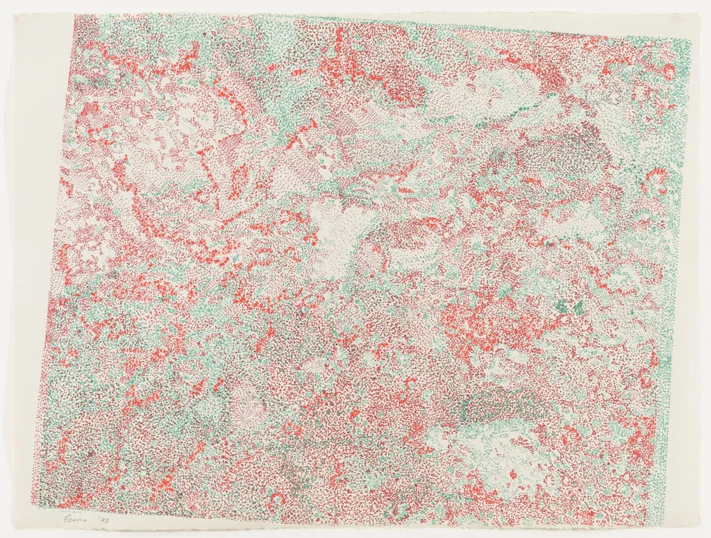 Untitled, by Nancy Graves, paint, 1973