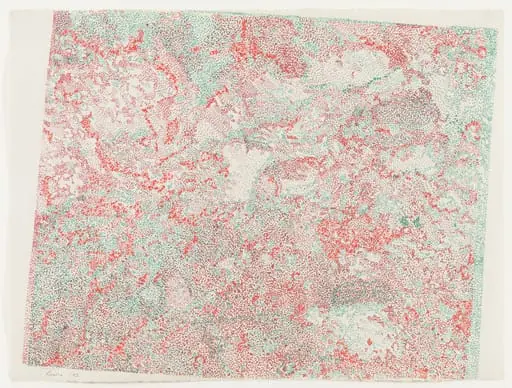 Untitled, by Nancy Graves